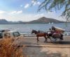 Picture of FATEHSAGAR LAKE 