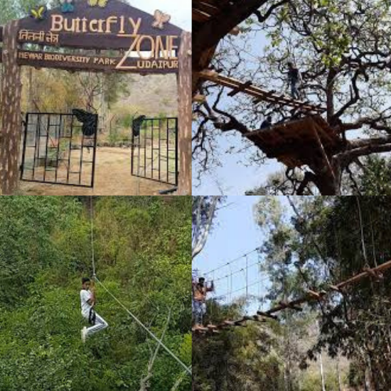 Picture of MEWAR BIODIVERSITY PARK 