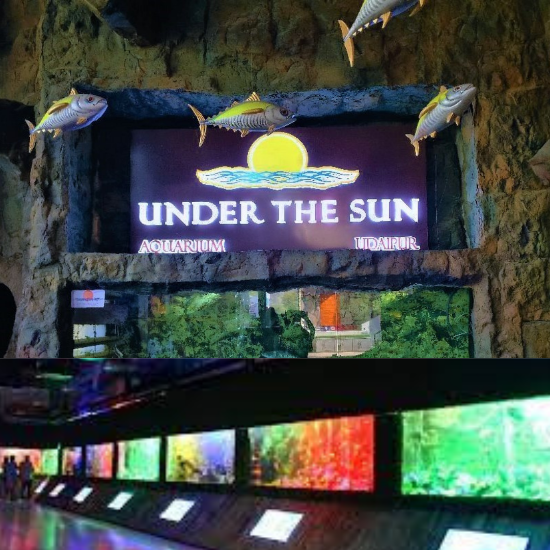 Picture of UNDER THE SUN AQUARIUM 