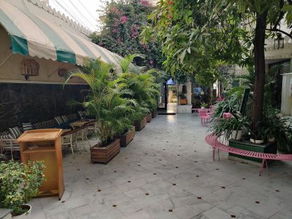 Picture of THE POT GARDEN  CAFE