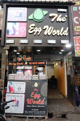 Picture of EGG WORLD 